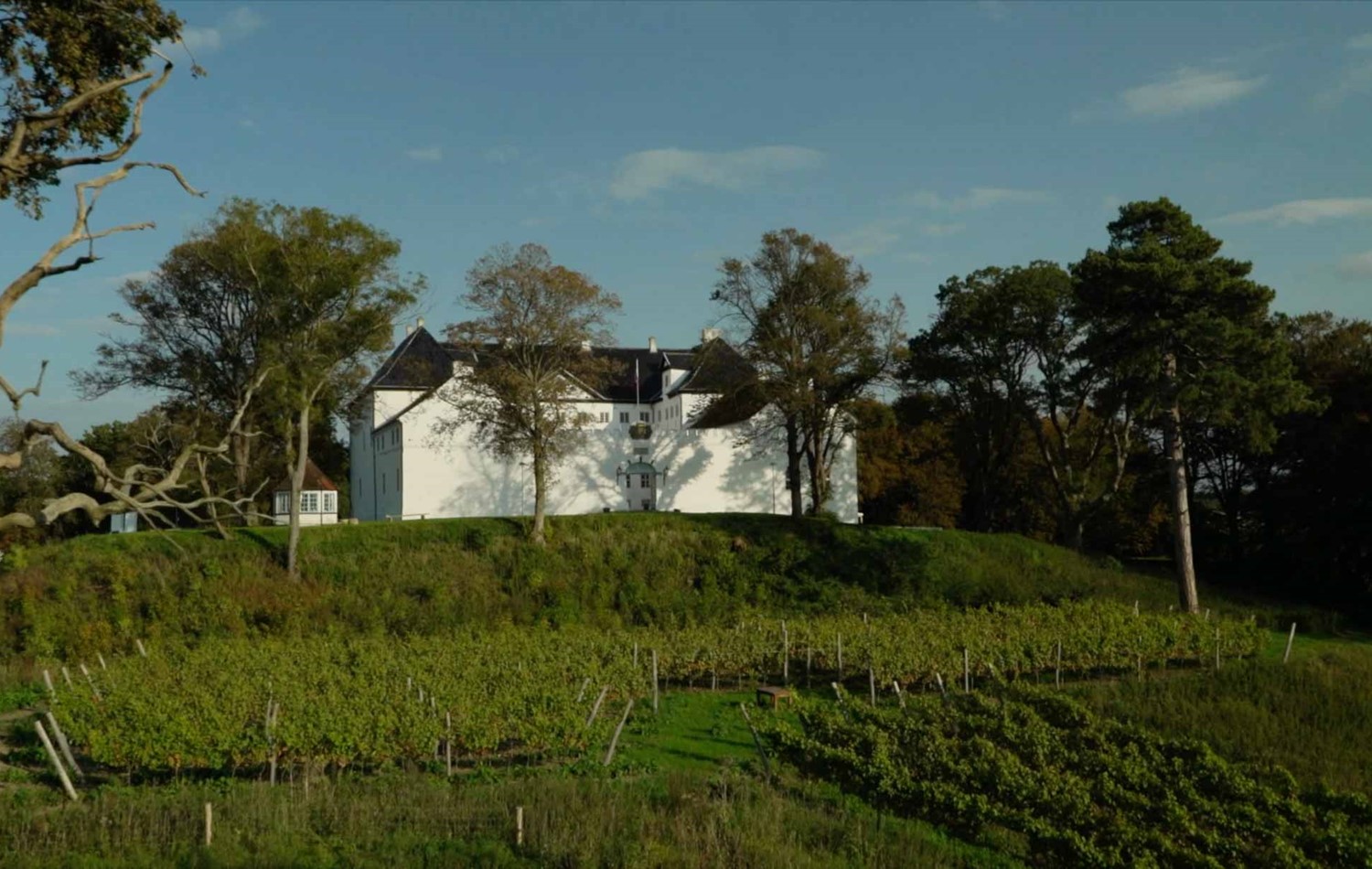 Dragsholm Slot vin